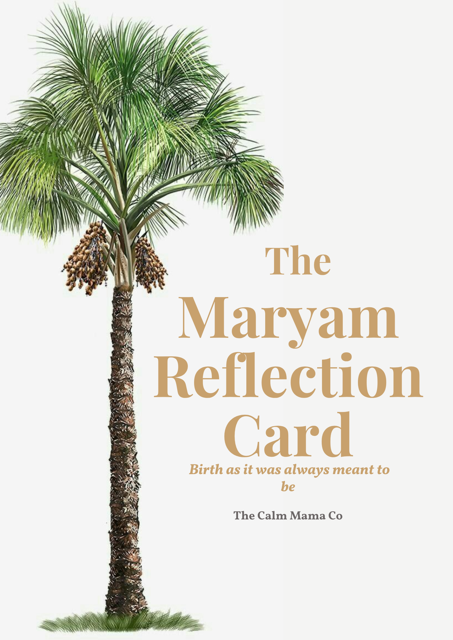 The Maryam Reflection Card cover