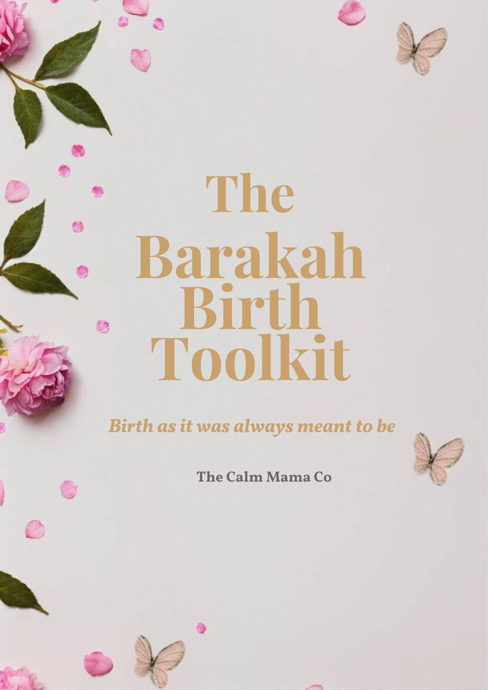 The Barakah Birth Toolkit cover